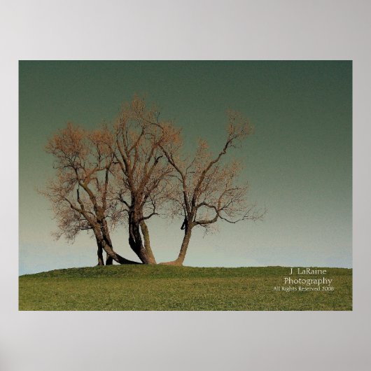 嵐 ポスター (正面)