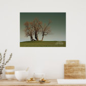 嵐 ポスター (キッチン)