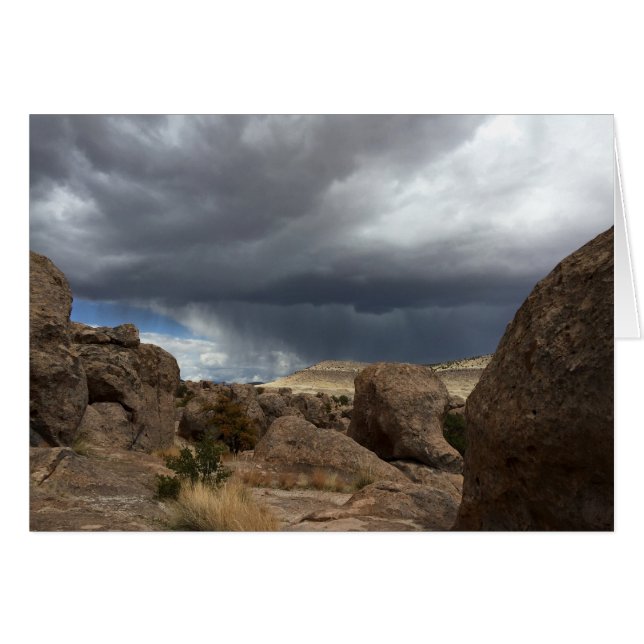 嵐、Deming、NM (正面横)