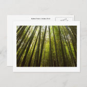嵯峨野の竹林京都はがき ポストカード (正面/裏面)
