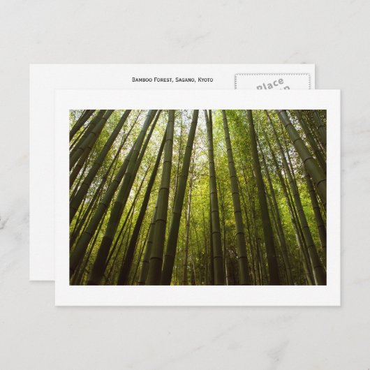 嵯峨野の竹林京都はがき ポストカード (正面/裏面)