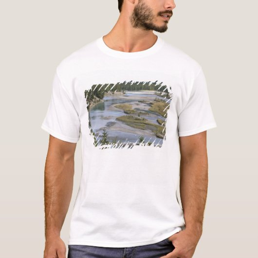 川がジャスパーの低地を流れる Tシャツ (正面)