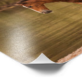 川でフォール フォトプリント            (角)