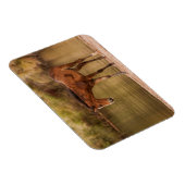 川でフォール マグネット (右側)