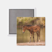 川でフォール マグネット (正面/裏面)