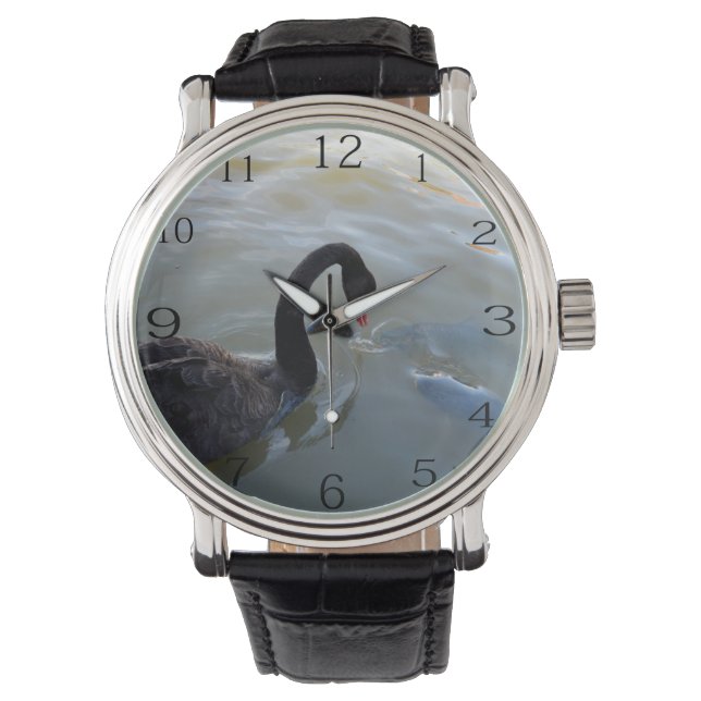 川で巨大な魚を見ている黒い白鳥。 腕時計 (正面)