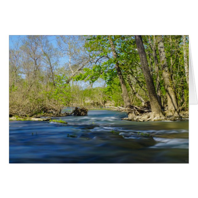 川で平和な (正面横)