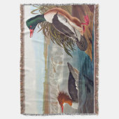 川で泳ぐアメリカのアヒル スローブランケット (正面縦)