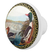 川で泳ぐアメリカのアヒル セラミックノブ (右)