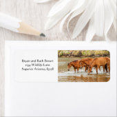 川で茶色の馬の家族 ラベル (インサイチュ)