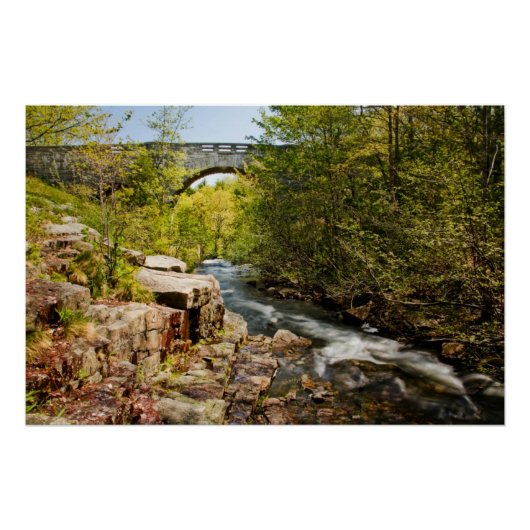 川にかかる橋 ポスター (正面)