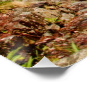 川にかかる橋 ポスター (コーナー)