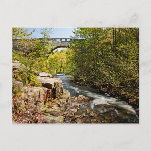 川にかかる橋 ポストカード (正面)