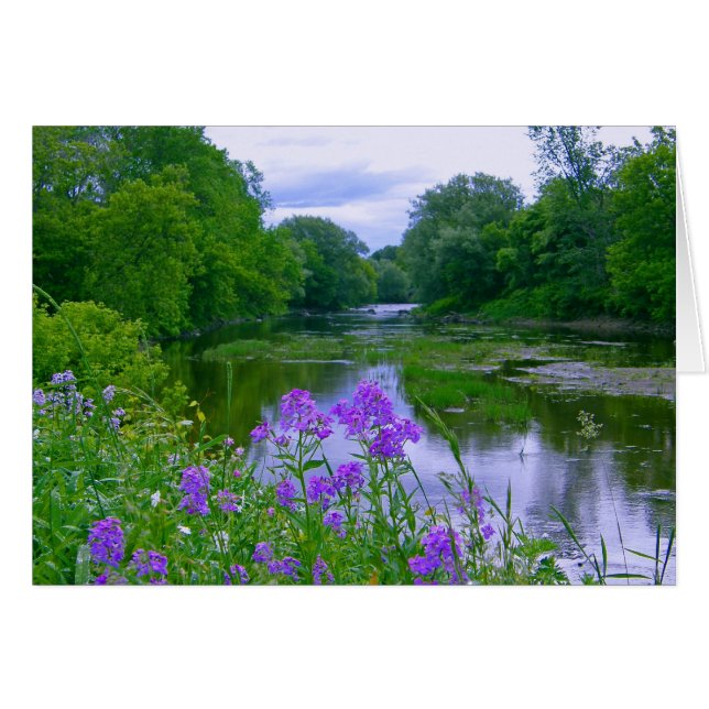 川によって (正面横)