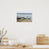川に映る木の反射 ポスター (キッチン)