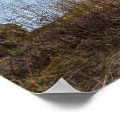 川に浮かぶ晴れた日 ポスター (角)