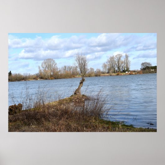 川に浮かぶ晴れた日 ポスター (正面)