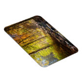 川のある美しい秋の森 マグネット (右側)