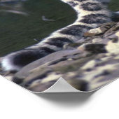 川のそばにユキヒョウ ポスター (角)