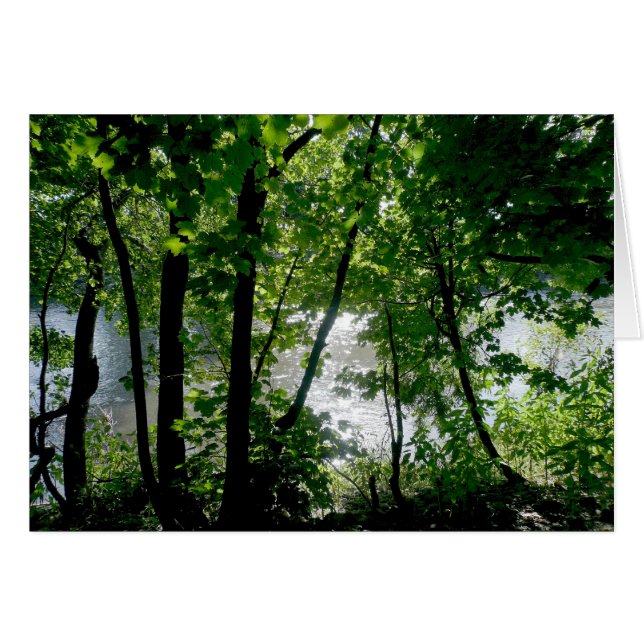 川のそばの木々 (正面横)