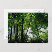 川のそばの木々 ポストカード (正面/裏面)