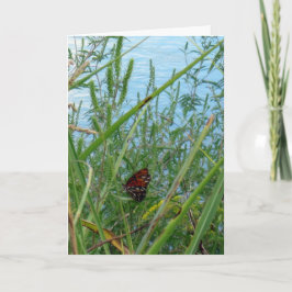 川のそばの蝶 カード