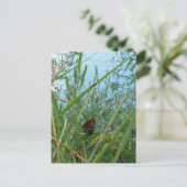 川のそばの蝶 ポストカード (スタンド正面)