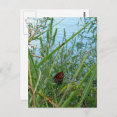 川のそばの蝶 ポストカード (正面/裏面)