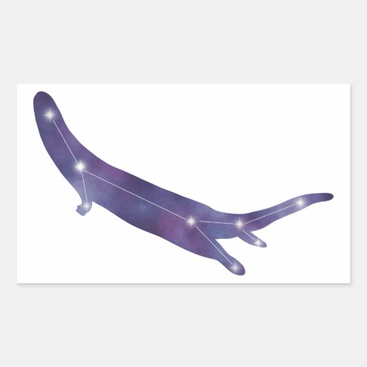 川のオッター星座ステッカー 長方形シール (正面)