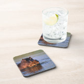 川のカバ コースター (右側)