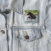 川のサケを追跡しているヒグマ 缶バッジ (インサイチュ)