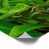 川のジャングル、森林、地面、川とネパールジャングル ポスター (角)