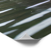 "川のセレニティ：流れの中で泳ぐキャピバラス" ポスター (角)