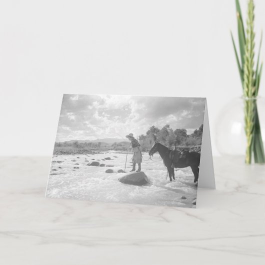 川のフランシスPhelps Beldenのはえの魚釣り カード (正面)