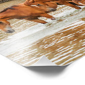 川のブラウンホースの家族 フォトプリント            (角)