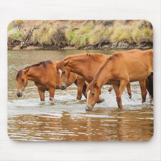 川のブラウンホースの家族 マウスパッド (正面)