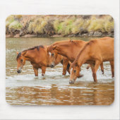 川のブラウンホースの家族 マウスパッド (正面)