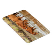 川のブラウンホースの家族 マグネット (右側)