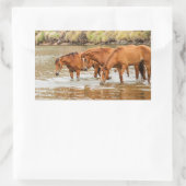 川のブラウンホースの家族 長方形シール (バッグ)