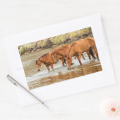 川のブラウンホースの家族 長方形シール (封筒)