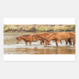 川のブラウンホースの家族 長方形シール