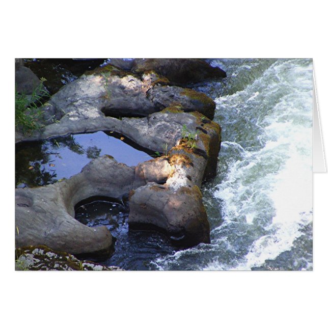 川のプール (正面横)