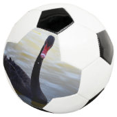 川の上を黒い白鳥が泳いでいる。 サッカーボール (3/4)