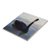 川の上を黒い白鳥が泳いでいる。 タイル (側面)