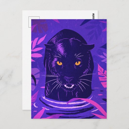 川の中でうずくまる黒いヒョウ ポストカード (正面/裏面)