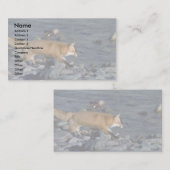 川の側のアカギツネのランニング 名刺 (正面/裏面)