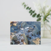 川の凍ってい堤防、氷、石、砂、水の詳細。 ポストカード (スタンド正面)