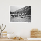 川の向こうに荷造りラバを運転する ポスター (キッチン)