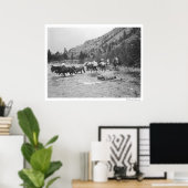 川の向こうに荷造りラバを運転する ポスター (ホームオフィス)