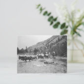 川の向こうに荷造りラバを運転する ポストカード (スタンド正面)